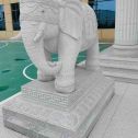 湘潭 白麻花岗岩动物异形石雕-大象