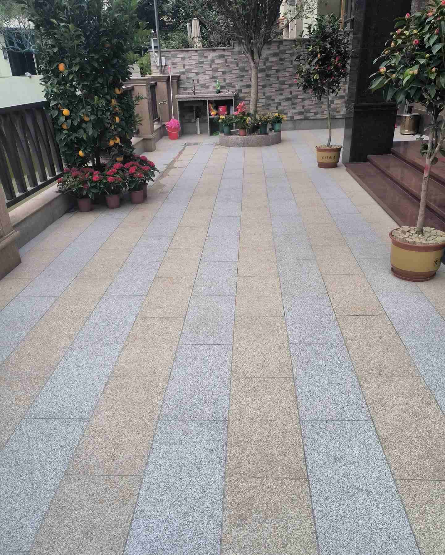 湘潭 黄金麻白麻荔枝面庭院铺装展示