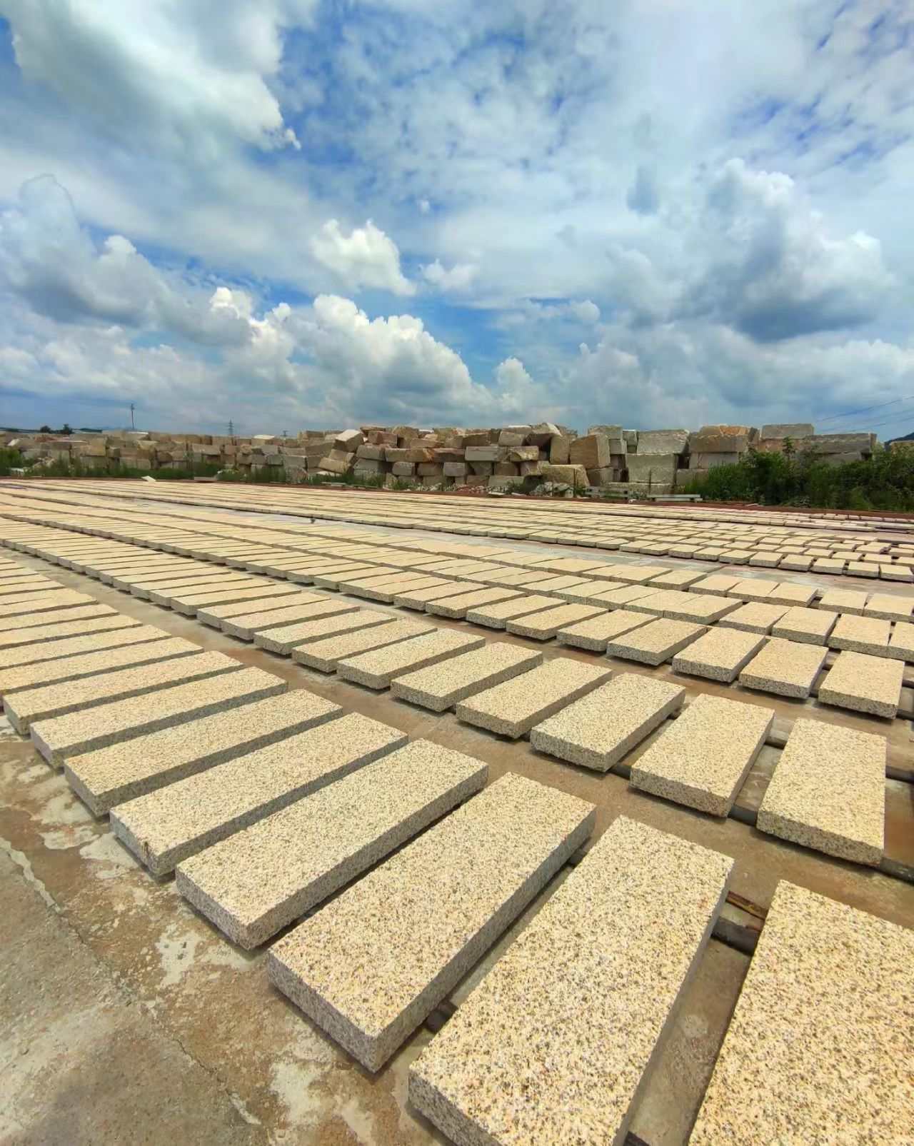 湘潭 黄金麻花岗岩荔枝面地铺石防护中